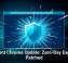 Urgent Chrome Update: Zero-Day Exploit Patched