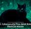 U.S. Cybersecurity Pros Admit Role in BlackCat Attacks