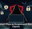 Scammers Pose as Ransomware Recovery Experts